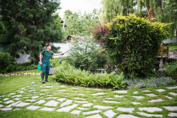 Best Ant Control Services  in Elkhart Lake, WI