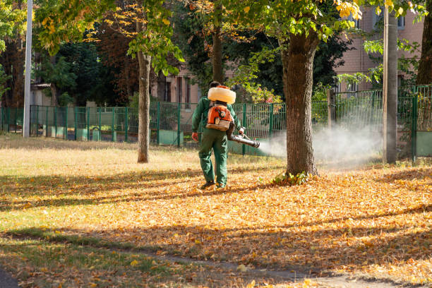 Best Affordable Pest Control Services  in Elkhart Lake, WI