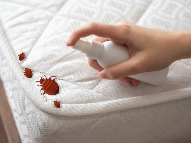 Elkhart Lake, WI Pest Control Company
