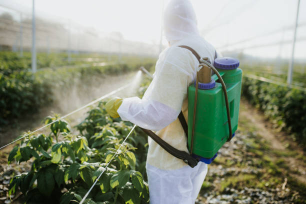 Best Best Pest Control Companies  in Elkhart Lake, WI